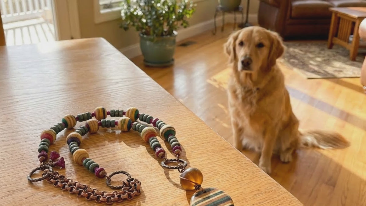 Video of Bicycle Chain and Skateboard Necklace with a golden retriever nearby. 